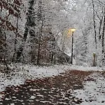 't Egeltje Ardennen 133 Semesterbostad Durbuy
