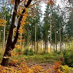 Semesterbostad 't Egeltje Ardennen 133