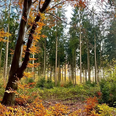 Semesterbostad 't Egeltje Ardennen 133