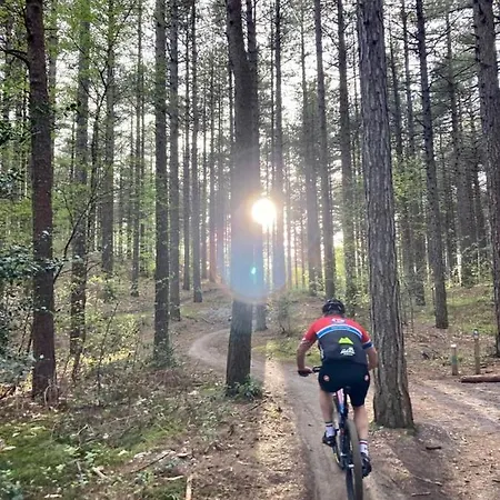 't Egeltje Ardennen 133 Semesterbostad Durbuy