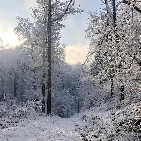 't Egeltje Ardennen 133